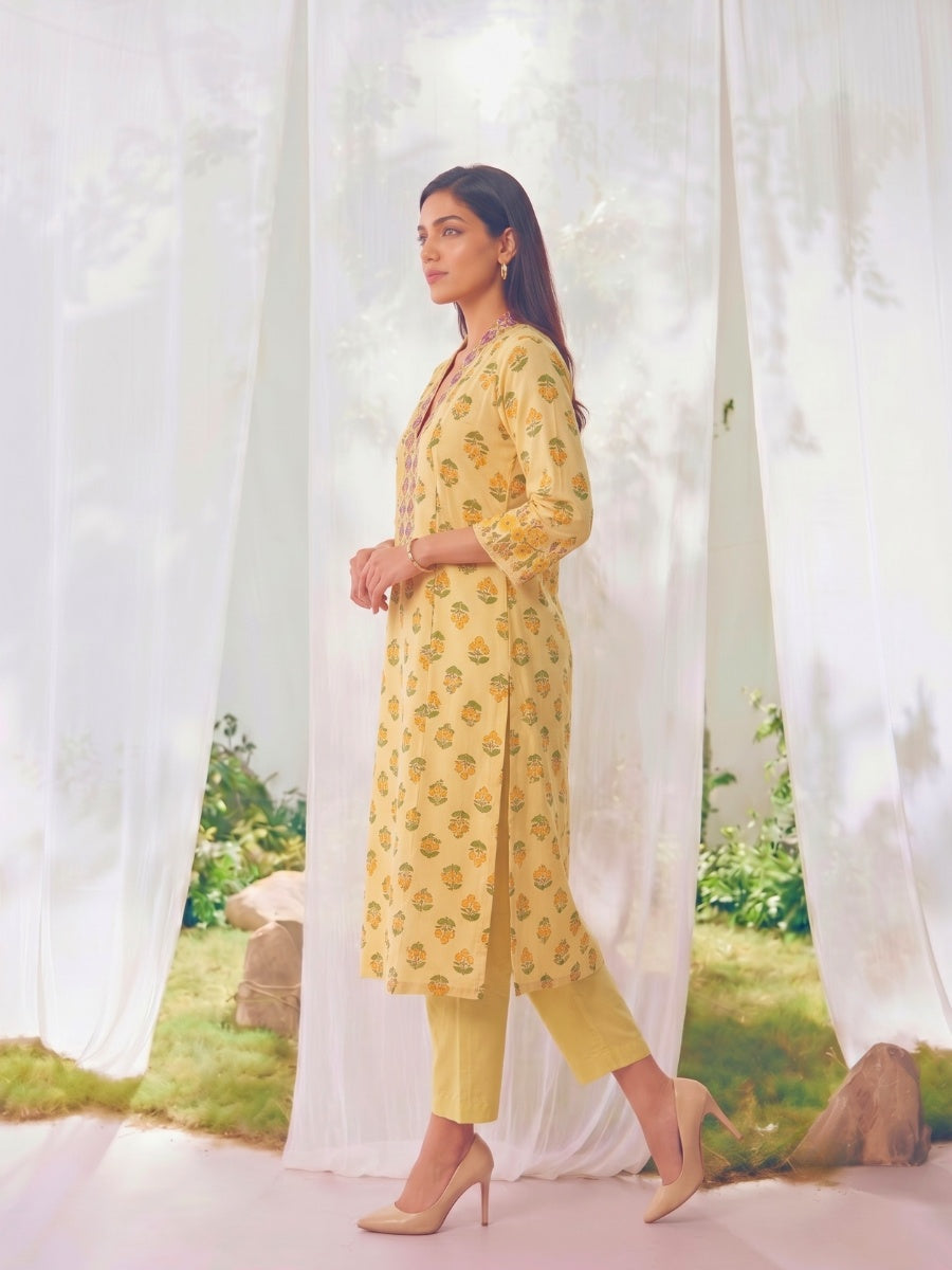 Printed Straight Calf Length Kurta With Pant